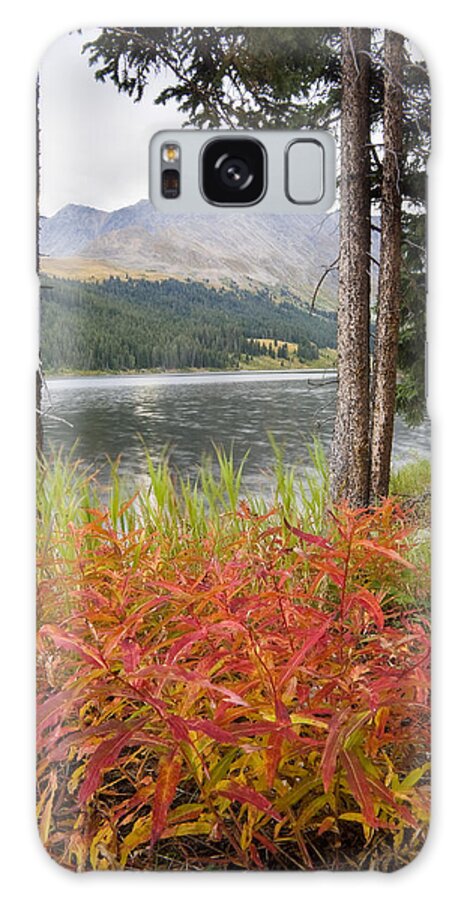 Quandary Galaxy S8 Case featuring the photograph Autumn Quandry by Morris McClung