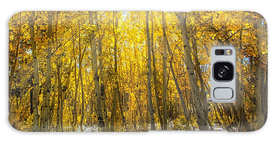 Autumn Galaxy Case featuring the photograph Autumn Rays by Tassanee Angiolillo