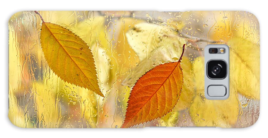 Fall Leaves Galaxy Case featuring the photograph Autumn Romance by Marina Kojukhova