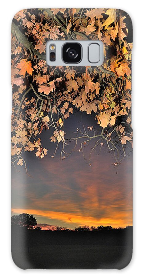 Sky Galaxy S8 Case featuring the photograph Autumn Sky and Leaves 1 by George Taylor