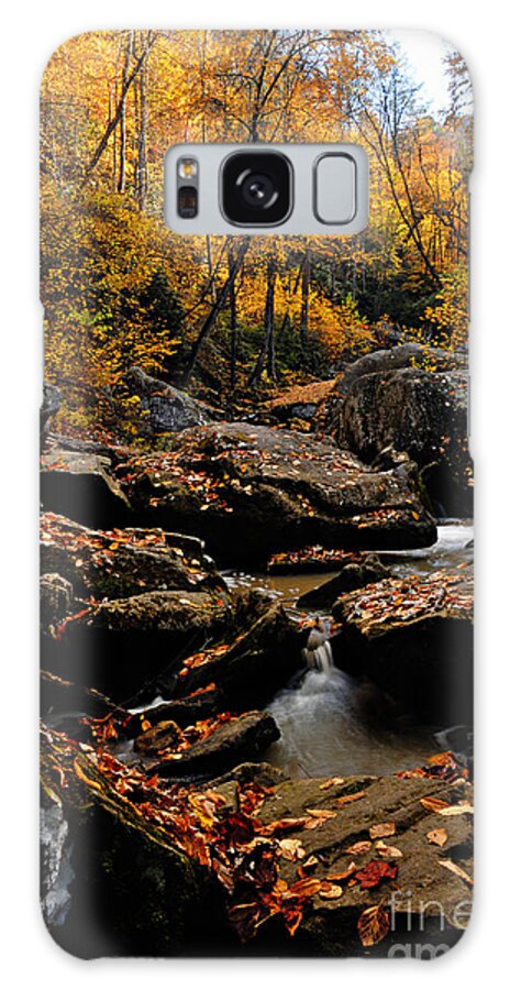 Photography Galaxy Case featuring the photograph Autumn Strean by Larry Ricker