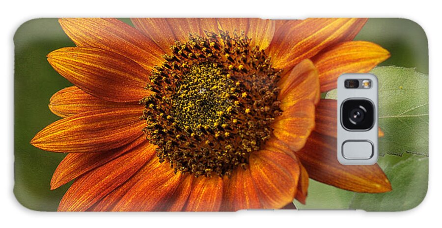 Sunflower Galaxy Case featuring the photograph Autumn Sunflower by Liz Mackney