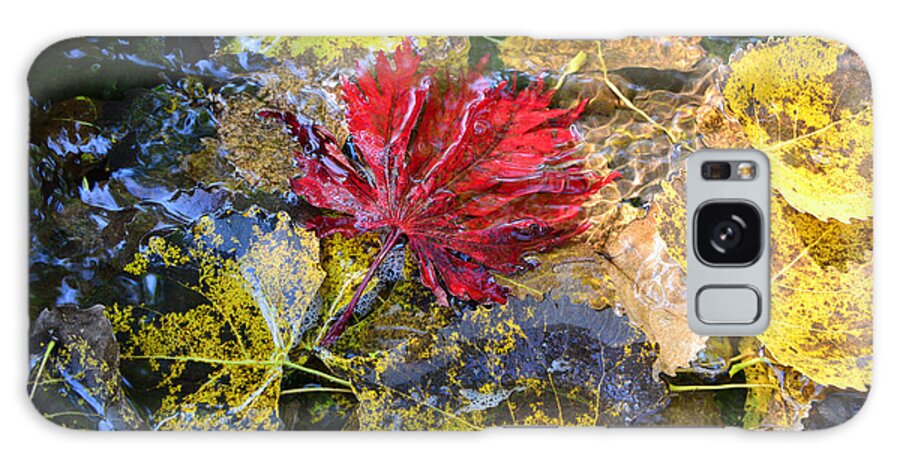 Leaves Galaxy Case featuring the photograph Autumn Watercolors by Joanne West