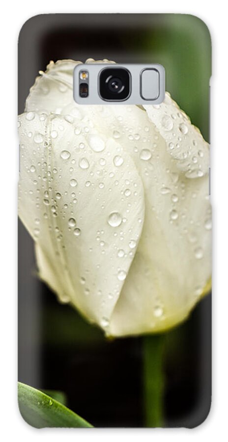 Tulips Galaxy Case featuring the photograph Awakening by Sara Frank