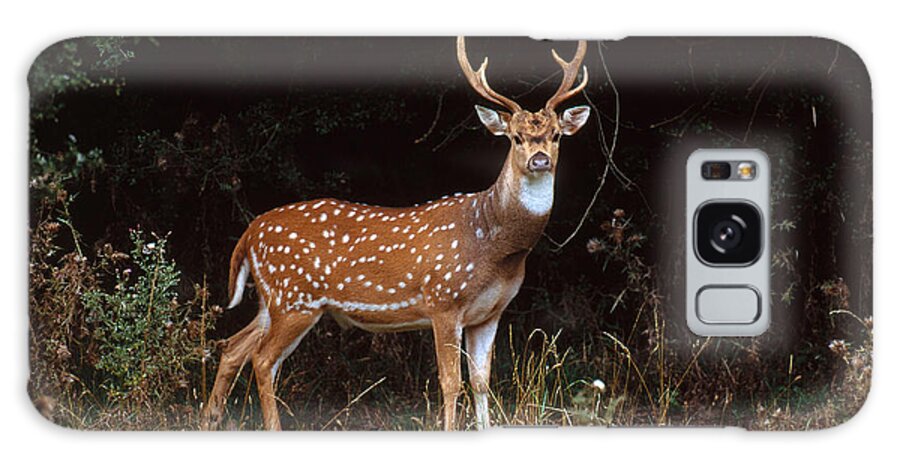 Axis Deer Galaxy Case featuring the photograph Axis Deer Or Chital by Art Wolfe