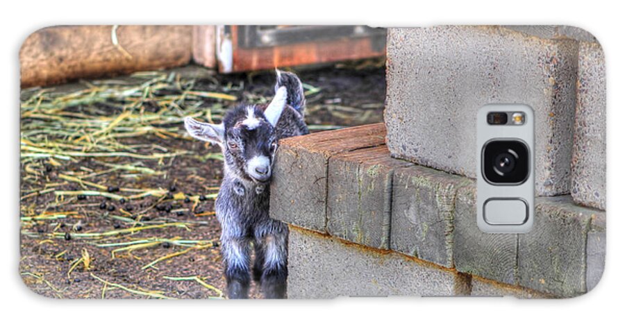 Animal Galaxy Case featuring the photograph Baby Goat by Jimmy Ostgard