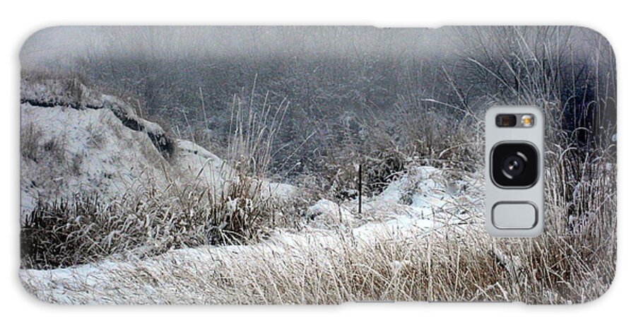 Winter Galaxy Case featuring the photograph Back Woods Winter by Kathy Bassett