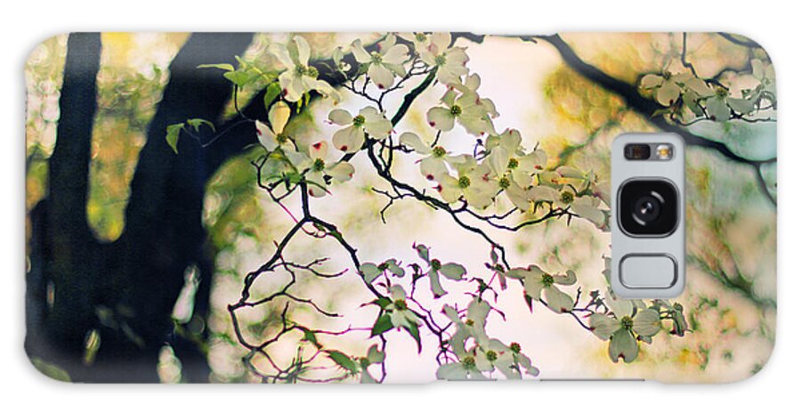 Dogwood Galaxy Case featuring the photograph Backlit Blossom by Jessica Jenney