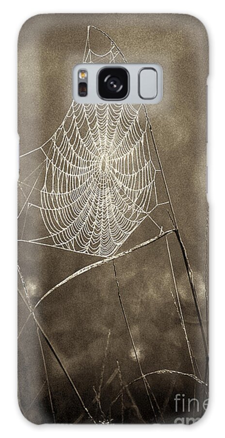 Wildlife Galaxy Case featuring the photograph Backlit Spider Web in Sepia Tones by Dave Welling