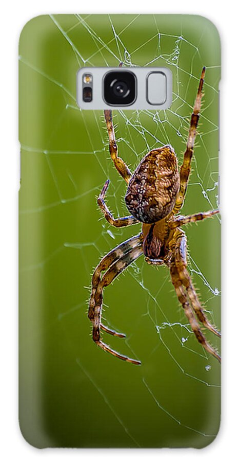 Spider Galaxy Case featuring the photograph Backyard Spider by Ken Morris
