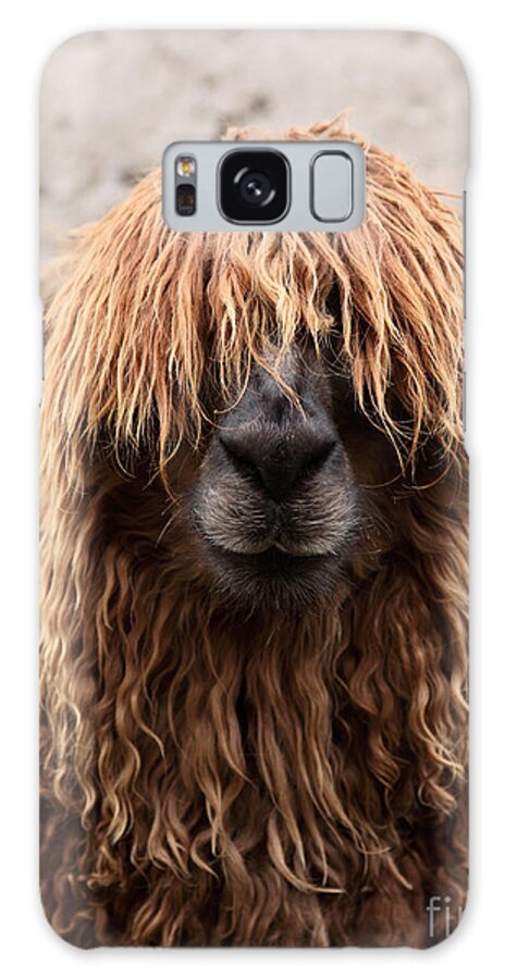 Alpaca Galaxy Case featuring the photograph Bad Hair Day by James Brunker