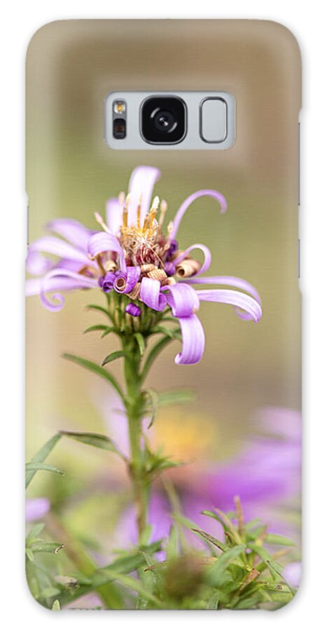 Flower Galaxy Case featuring the photograph Bad Hair Day by Sandra Parlow