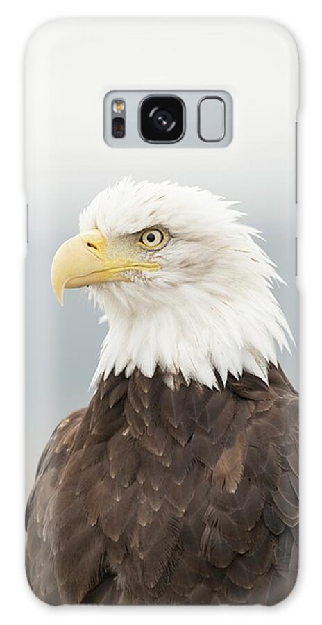 Haliaeetus Leucocephalus Galaxy Case featuring the photograph Bald Eagle by Dr P. Marazzi/science Photo Library