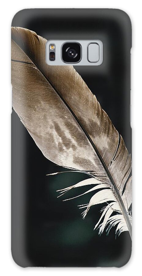 Accipitridae Galaxy Case featuring the photograph Bald Eagle Feather by Thomas And Pat Leeson