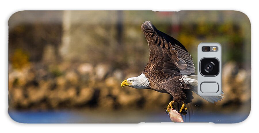 Da* 300 Galaxy S8 Case featuring the photograph Bald Eagle in Flight over Water Carrying a Fish by Lori Coleman