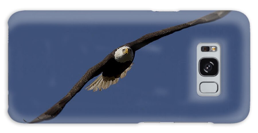 Ozzy Galaxy Case featuring the photograph Bald Eagle in Flight Photo by Meg Rousher