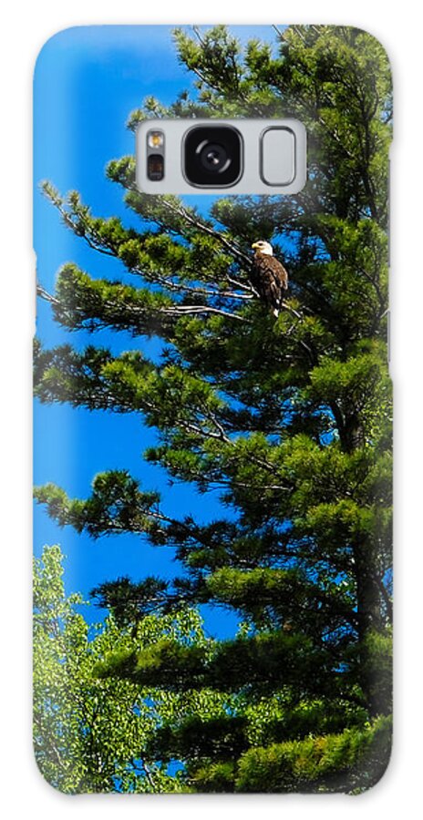 Wisconsin Galaxy Case featuring the photograph Bald Eagle  by Lars Lentz
