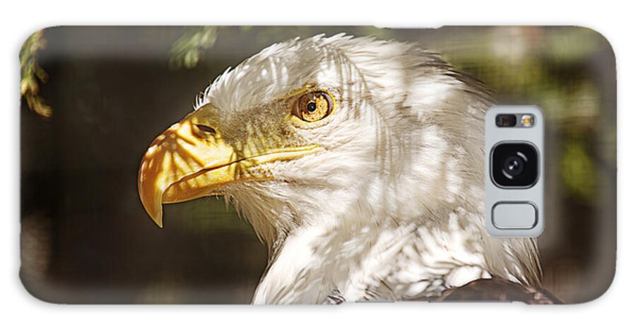 Animal Galaxy Case featuring the photograph Bald Eagle Portrait by Brian Cross