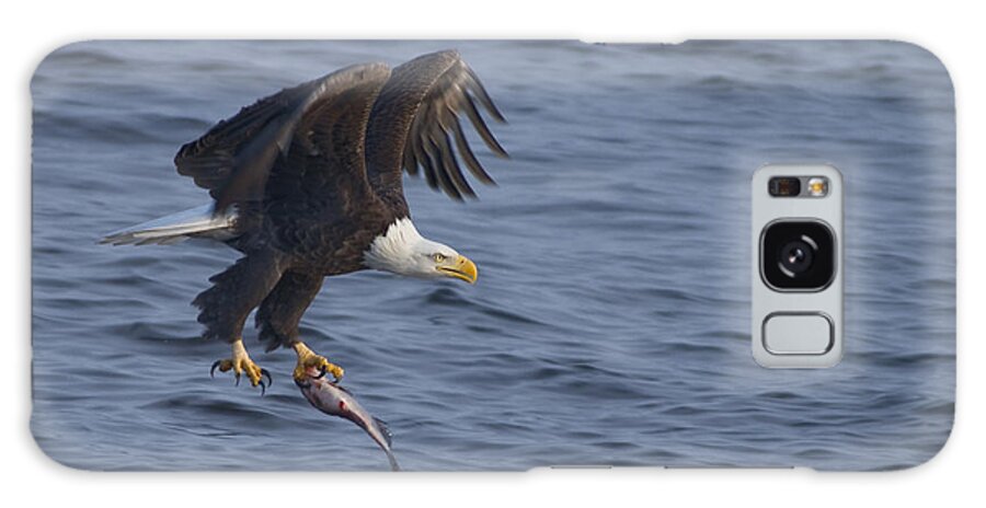 Bald Galaxy Case featuring the photograph Bald Eagle with a Fish by Larry Bohlin