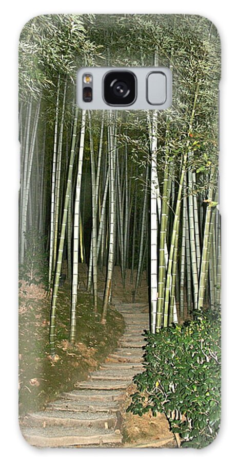 Bamboo Galaxy Case featuring the photograph Bamboo Forest Pathway by Angela Bushman