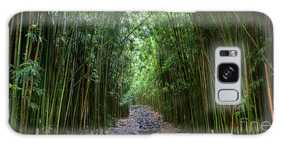 Bamboo Forest Galaxy S8 Case featuring the photograph Bamboo Forest Trail Hana Maui by Dustin K Ryan