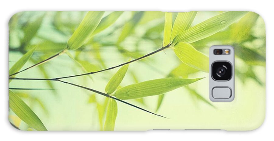 Bamboo Galaxy Case featuring the photograph Bamboo In The Sun by Priska Wettstein