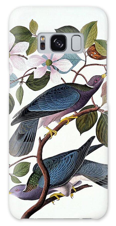 Illustration Galaxy Case featuring the photograph Band-tailed Pigeon by Natural History Museum, London/science Photo Library