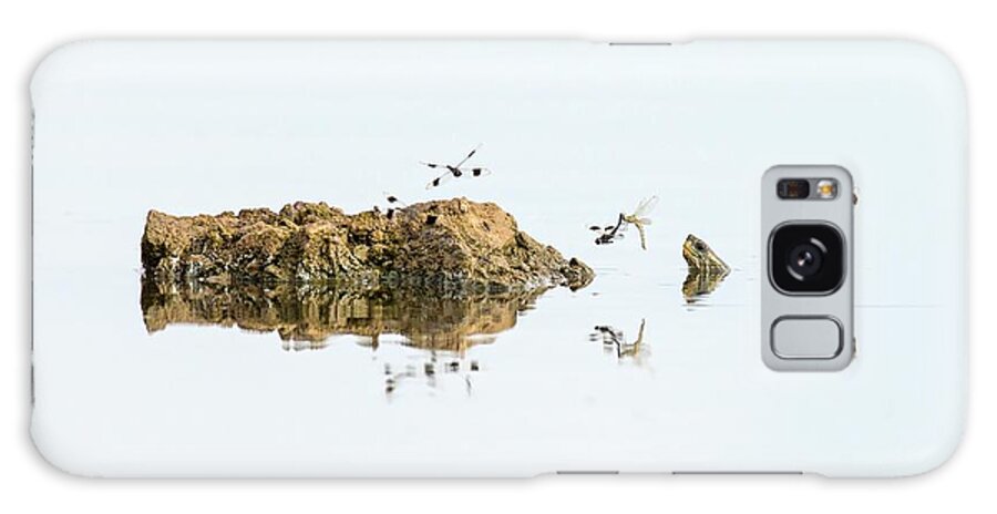 Animal Galaxy Case featuring the photograph Banded Groundling Dragonfly by Photostock-israel
