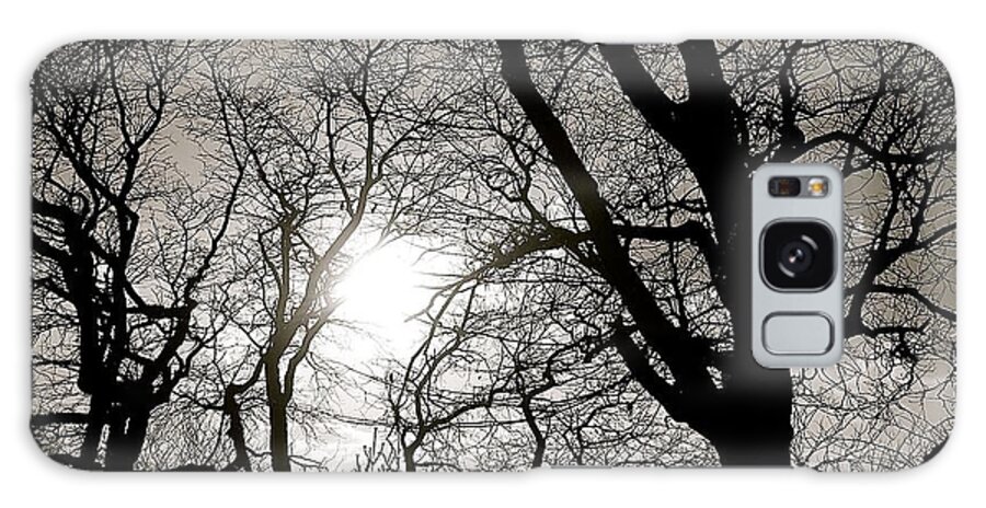 Trees Galaxy Case featuring the photograph Bare Trees by Ydania Ogando