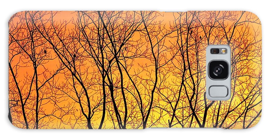 Sunrise Galaxy Case featuring the photograph Bare Winter Sunrise by Liz Vernand