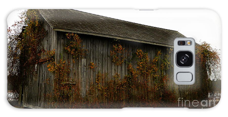 Fall Galaxy Case featuring the photograph Barn 2 by Andrea Anderegg