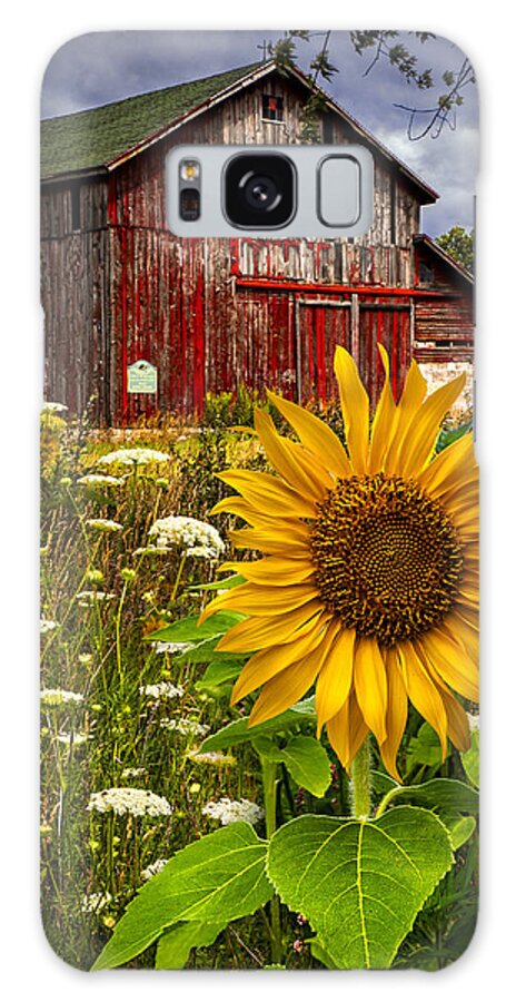 Barn Galaxy Case featuring the photograph Barn Meadow Flowers by Debra and Dave Vanderlaan