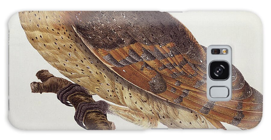 Bird Galaxy S8 Case featuring the painting Barn Owl by Dutch School