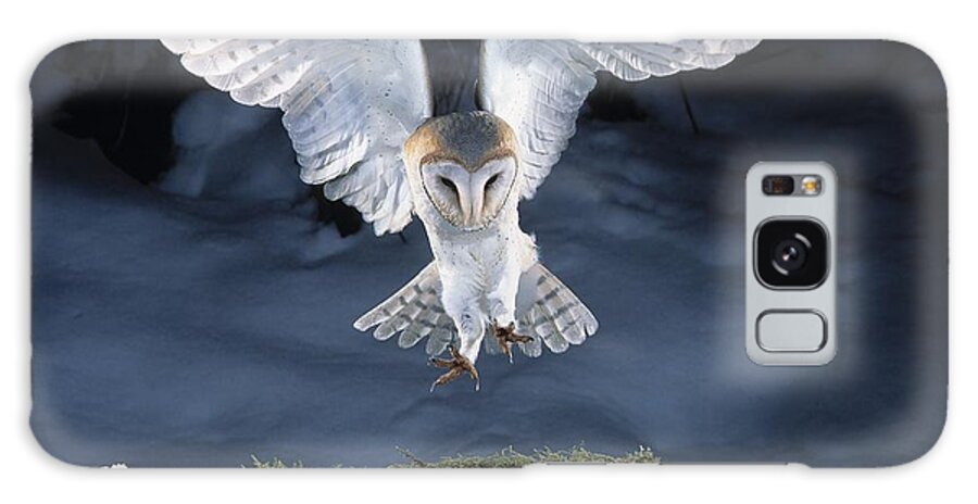 Bird Galaxy Case featuring the photograph Barn Owl Landing by Manfred Danegger