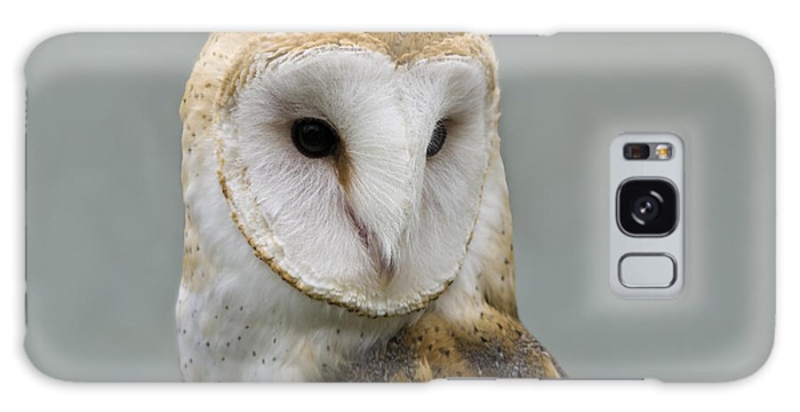 Barn Owl Galaxy Case featuring the photograph Barn Owl No. 7 by John Greco
