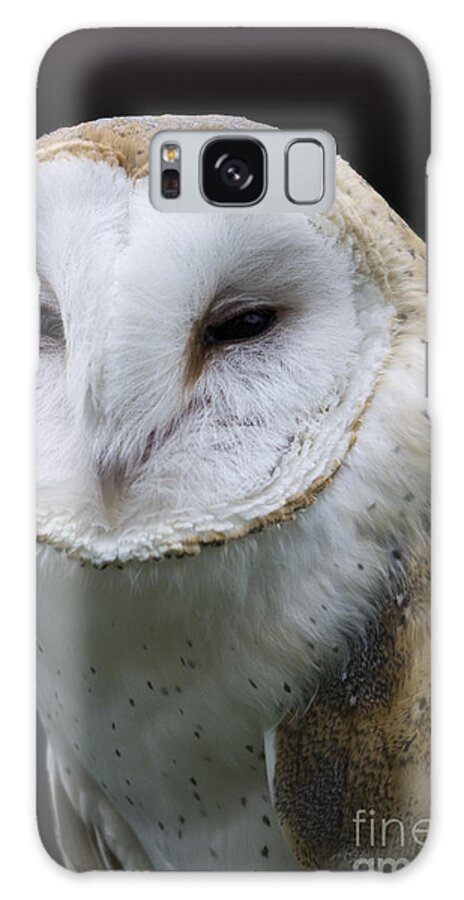 Barn Owl Galaxy Case featuring the photograph Barn Owl No.1 by John Greco