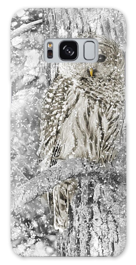 Owl Galaxy Case featuring the photograph Barred Owl Snowy Day in the Forest by Jennie Marie Schell