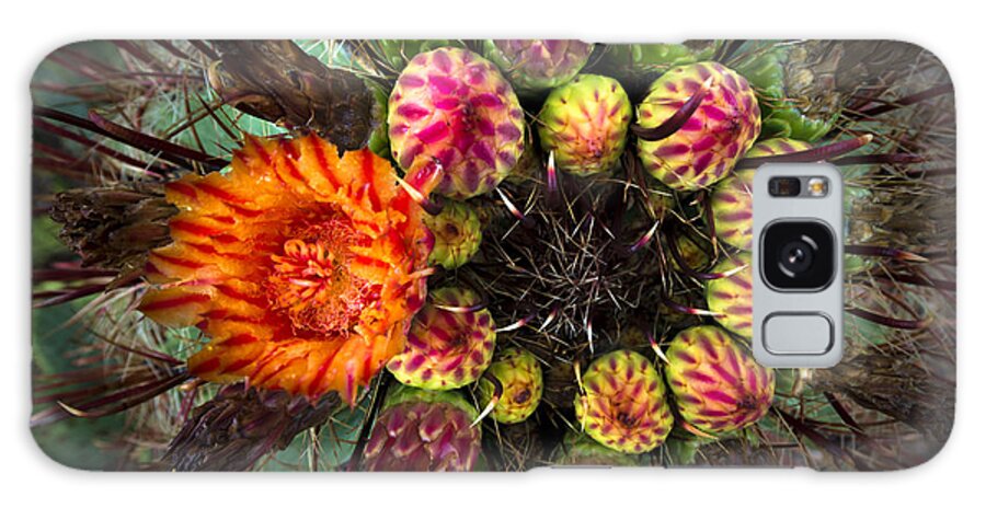 Cactus Galaxy S8 Case featuring the photograph Barrel Cactus in Bloom 2 by Richard Mason