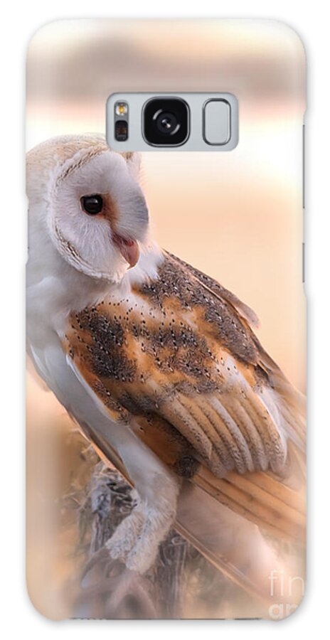 Barn Owl Galaxy S8 Case featuring the photograph Basking In The Morning Sun by Mary Lou Chmura