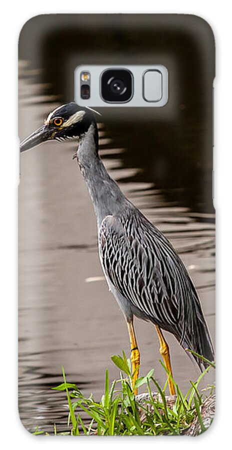 New Orleans Galaxy Case featuring the photograph Bayou Bird by Melinda Ledsome