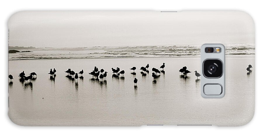 Seagulls Galaxy Case featuring the digital art Beach Gulls Gather by Gary Olsen-Hasek