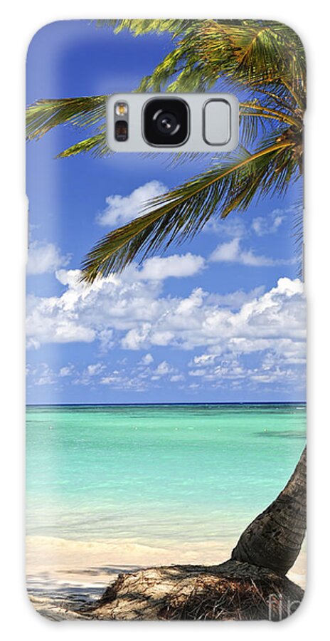 Beach Galaxy Case featuring the photograph Beach of a tropical island by Elena Elisseeva