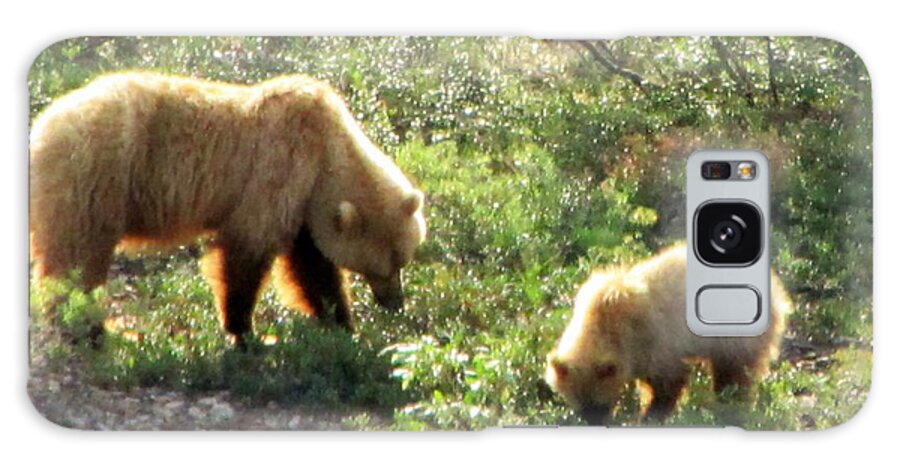 Bear Galaxy S8 Case featuring the photograph Bear and cub at Denali by Lisa Dunn