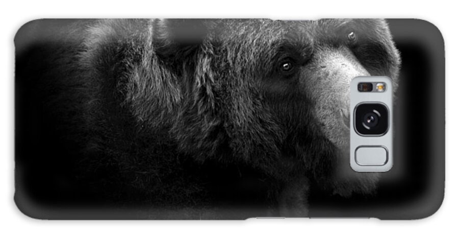 #faatoppicks Galaxy Case featuring the photograph Portrait of Bear in black and white by Lukas Holas