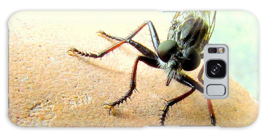 Bugs Galaxy Case featuring the photograph Bearded Robber Fly by Lori Lafargue