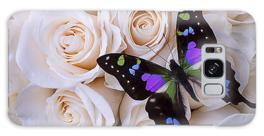 Beautiful Galaxy Case featuring the photograph Beautiful black winged butterfly by Garry Gay