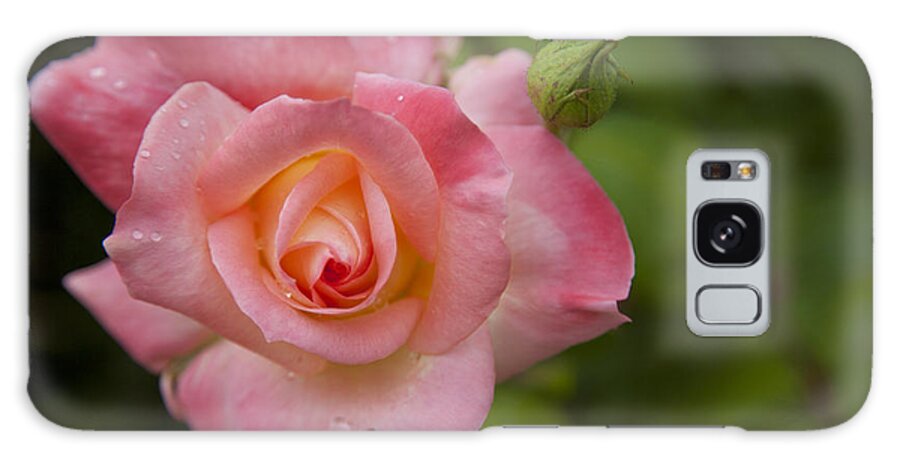 Rose Galaxy Case featuring the photograph Shades of Pink and Green by David Millenheft
