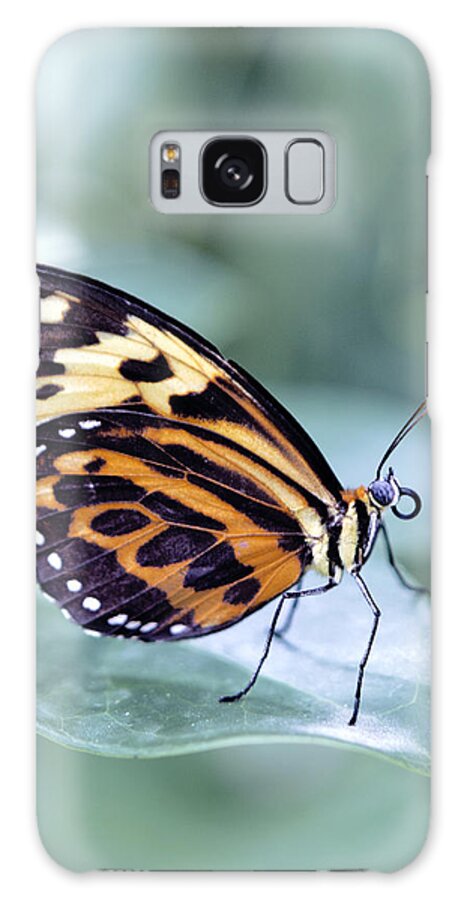 Ed Cracker Butterfly Galaxy Case featuring the photograph Beautiful Red Cracker Butterfly by Her Arts Desire