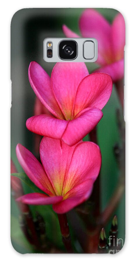  Galaxy Case featuring the photograph Beautiful Red Plumeria by Sabrina L Ryan