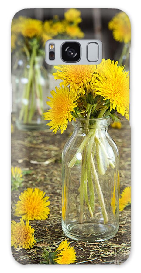 Dandelions Galaxy Case featuring the photograph Beauty Among the Weeds by Edward Fielding